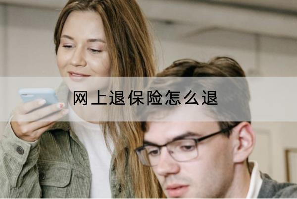 網(wǎng)上退保險怎么退