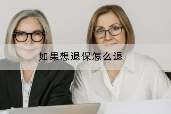 如果想退保怎么退？退保能退多少錢？