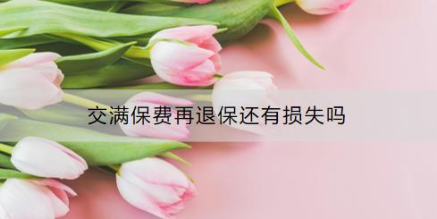 交滿保費再退保還有損失嗎？退保流程是什么？
