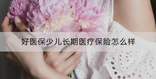 好醫(yī)保少兒長(zhǎng)期醫(yī)療保險(xiǎn)怎么樣？如何購(gòu)買？