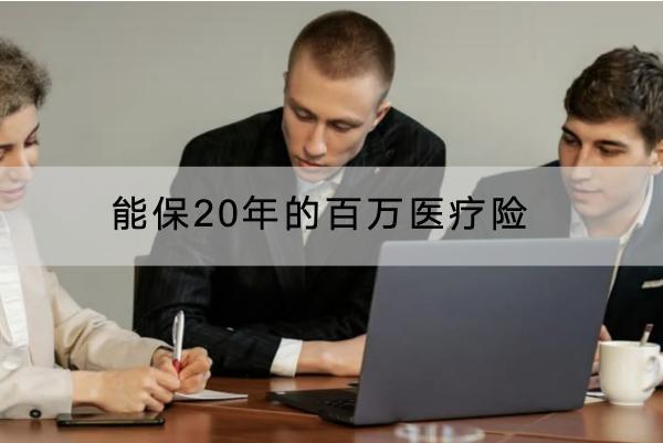 能保20年的百萬(wàn)醫(yī)療險(xiǎn)有哪些？一年多少錢？