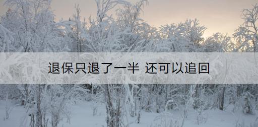 退保只退了一半還可以追回嗎？怎么將保費(fèi)全部退回？