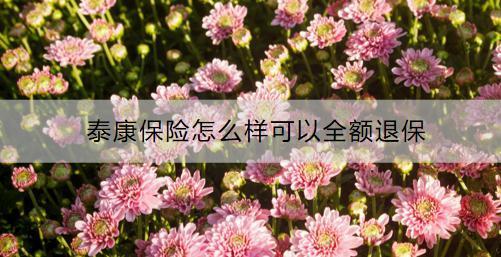 泰康保險(xiǎn)怎么樣可以全額退保？全額退保要準(zhǔn)備什么？