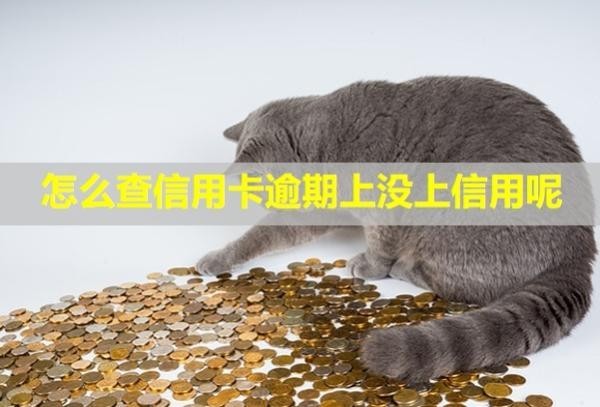 怎么查信用卡逾期上沒上信用呢？記錄多久能消除？