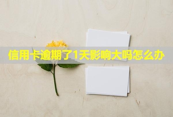 信用卡逾期了1天影響大嗎怎么辦？
