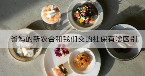 爸媽的新農(nóng)合和我們交的社保有啥區(qū)別？和商業(yè)保險(xiǎn)沖突嗎？
