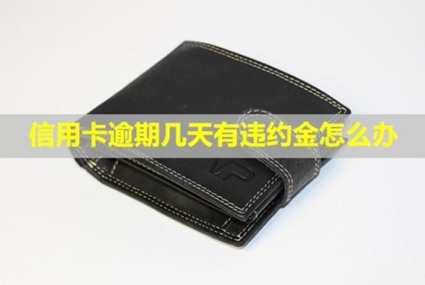 信用卡逾期幾天有違約金怎么辦