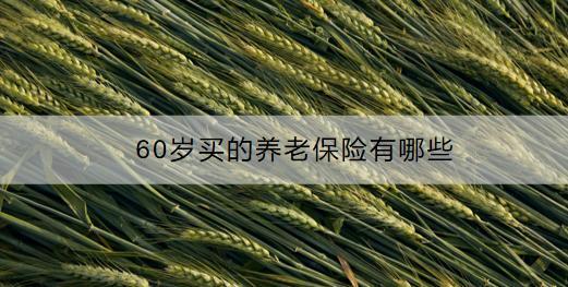 60歲買的養(yǎng)老保險有哪些？怎么買？