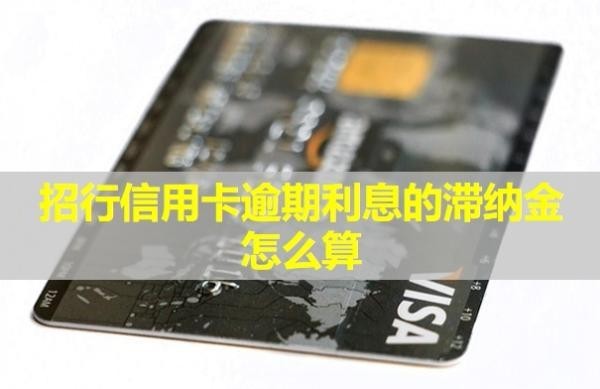 招行信用卡逾期利息的滯納金怎么算？多久起訴？