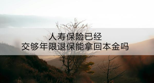 人壽保險已經(jīng)交夠年限退保能拿回本金嗎？有什么途徑？