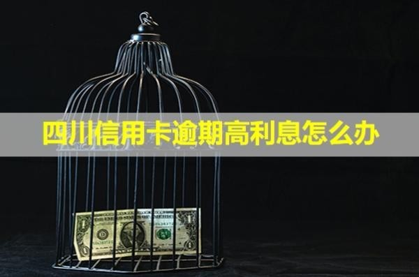 四川信用卡逾期高利息怎么辦？會怎么樣？