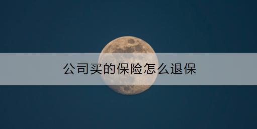 公司買的保險(xiǎn)怎么退保？商業(yè)保險(xiǎn)怎么退？