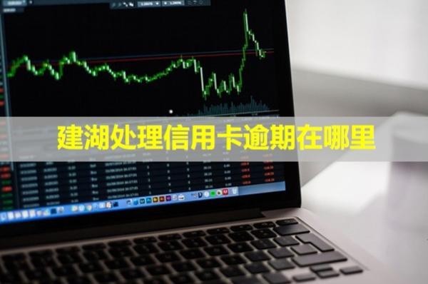 建湖處理信用卡逾期在哪里？多久會(huì)上失信名單？