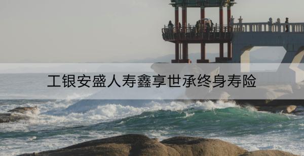 工銀安盛人壽鑫享世承終身壽險