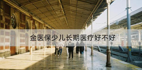 金醫(yī)保少兒長期醫(yī)療好不好？有什么缺點？