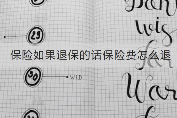 保險(xiǎn)如果退保的話保險(xiǎn)費(fèi)怎么退