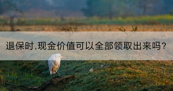 退保時，現(xiàn)金價值可以全部領(lǐng)取出來嗎?現(xiàn)金價值表怎么看？