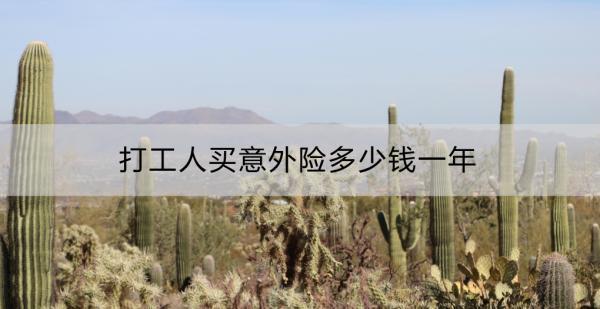 打工人買意外險多少錢一年？怎么買？