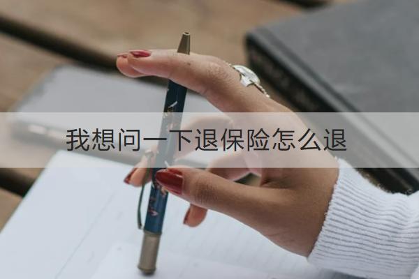 我想問一下退保險(xiǎn)怎么退？能退多少？