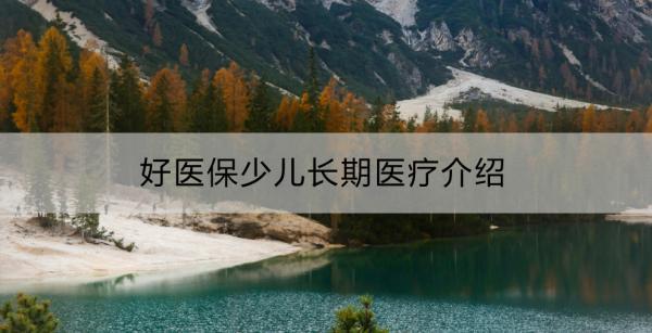 好醫(yī)保少兒長期醫(yī)療介紹？值得買嗎？
