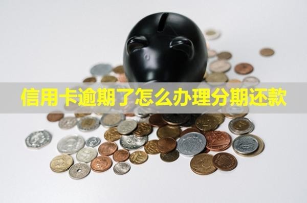 信用卡逾期了怎么辦理分期還款？信用多久能恢復(fù)？