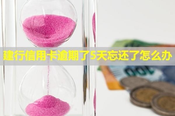 建行信用卡逾期了5天忘還了怎么辦？