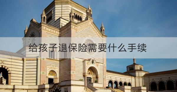 給孩子退保險需要什么手續(xù)