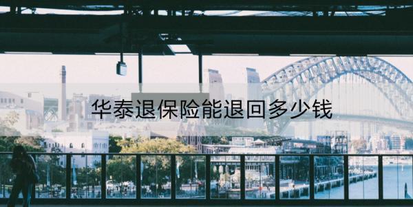 華泰退保險能退回多少錢？怎么退？