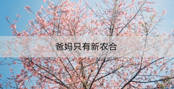 爸媽只有新農(nóng)合夠嗎？還需要購(gòu)買(mǎi)什么保險(xiǎn)？