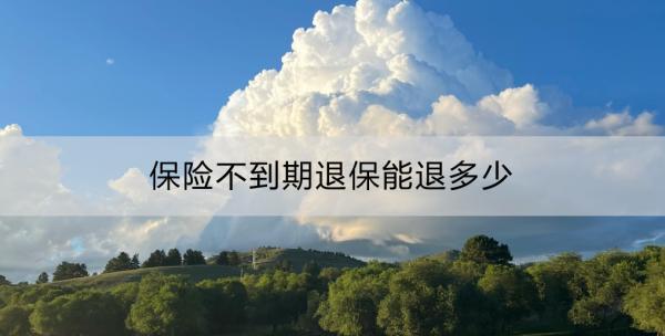 保險(xiǎn)不到期退保能退多少？怎么退？