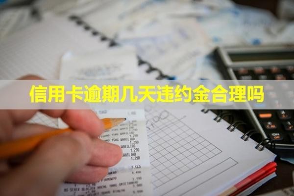信用卡逾期幾天違約金合理嗎