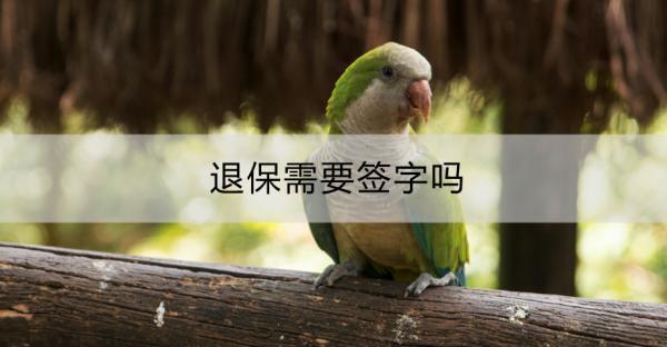 退保需要簽字嗎？退保流程是什么？