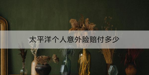 太平洋個(gè)人意外險(xiǎn)賠付多少？理賠流程是什么？