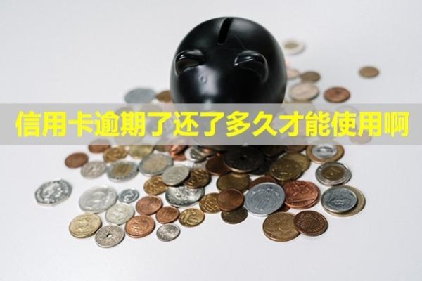信用卡逾期了還了多久才能使用啊