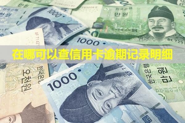 在哪可以查信用卡逾期記錄明細(xì)？怎么申請(qǐng)消除掉？