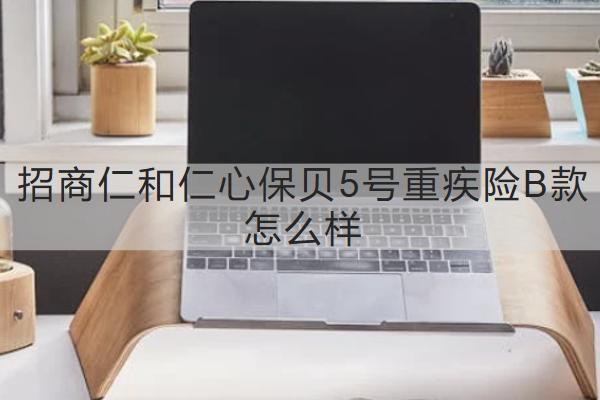招商仁和仁心保貝5號(hào)重疾險(xiǎn)B款怎么樣？有哪些優(yōu)勢(shì)？