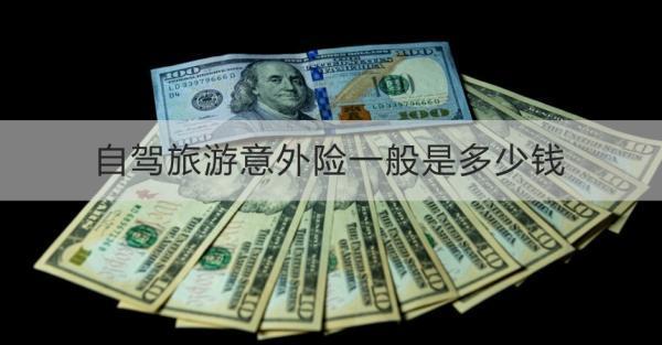 自駕旅游意外險一般是多少錢？怎么買？