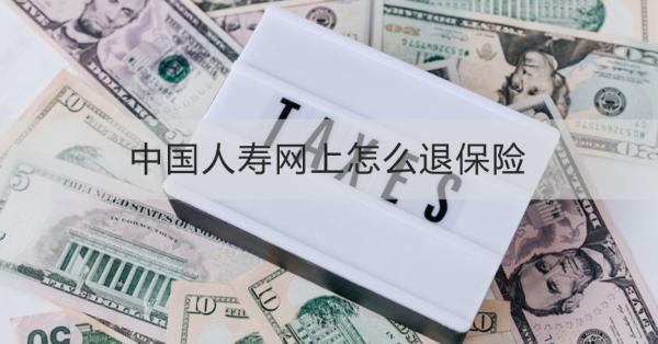 中國人壽網(wǎng)上怎么退保險？退保險需要注意什么？