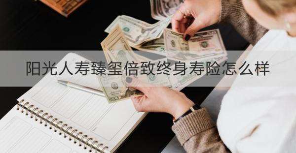 陽光人壽臻璽倍致終身壽險(xiǎn)怎么樣？兩個(gè)方面為你解答