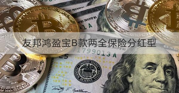 友邦鴻盈寶B款兩全保險(xiǎn)分紅型詳細(xì)介紹，基本信息+保障+特色