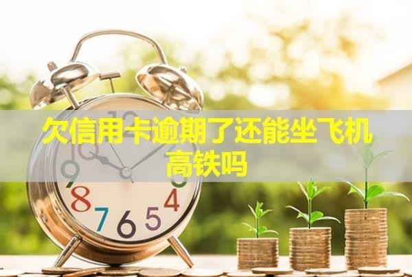 欠信用卡逾期了還能坐飛機(jī)高鐵嗎？可以只還本金不還利息嗎？