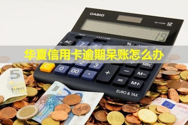 華夏信用卡逾期呆賬怎么辦？會(huì)怎么樣？