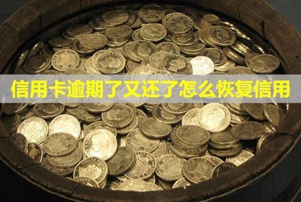信用卡逾期了又還了怎么恢復信用？開庭怎么應(yīng)對？