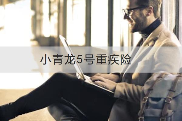 小青龍5號(hào)重疾險(xiǎn)