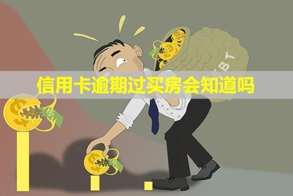 信用卡逾期過買房會知道嗎
