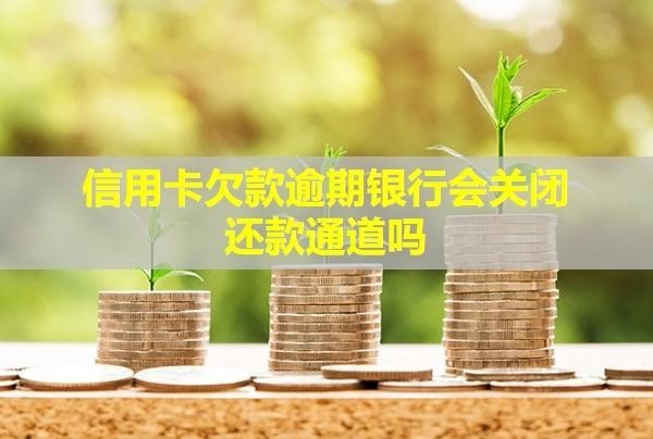 信用卡欠款逾期銀行會(huì)關(guān)閉還款通道嗎？會(huì)被起訴嗎？