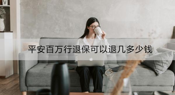平安百萬行退?？梢酝藥锥嗌馘X