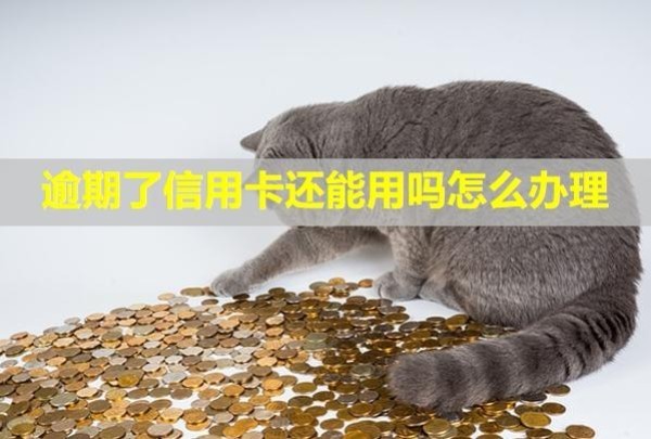 逾期了信用卡還能用嗎怎么辦理