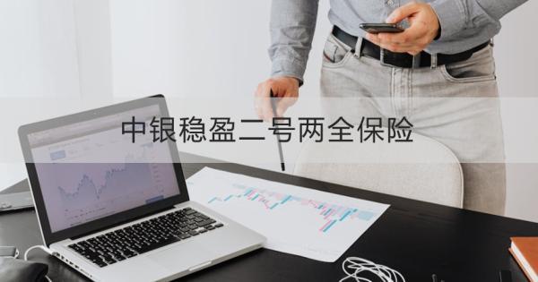 中銀穩(wěn)盈二號(hào)兩全保險(xiǎn)條款介紹，基本信息+產(chǎn)品保障