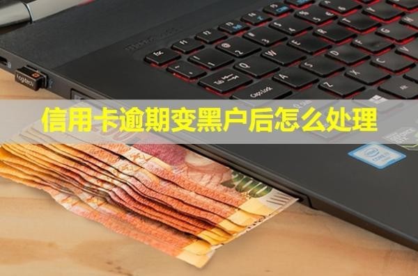 信用卡逾期變黑戶后怎么處理？利息可以全部減免嗎？